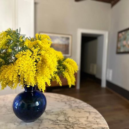 Domus An- Two Bedrooms Apartment -Antique And Historical Home シエーナ エクステリア 写真